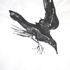Raven2