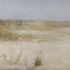 20120620175750-gallego_beachgrasses2