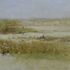 20120620180031-beach_grasses1