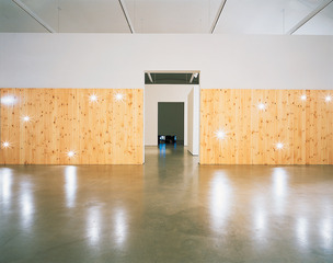Odradeck Wall,Liam Gillick