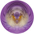 20120621041852-2012bearded_iris