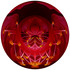 20120621041950-hibiscus4a