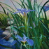 20121121175608-asecretgarden