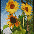 20120622213110-three_s_company