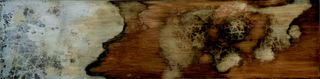 Earth and Cosmos,Jennifer Jastrab