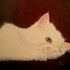 20120622233249-lily__sara_lerota_