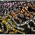 20120623005020-thornton-dial-all-the-cats-in-town
