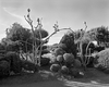 20120623051439-08__62312