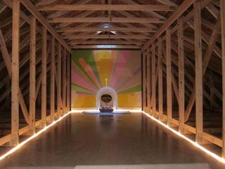 The Eastern Oracle: We Will Tear the Roof Off the Mother, Brooklyn Museum , interior view,Heather Hart