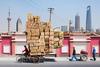 20120624024702-alaindelorme_totem15_0