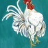 20120625002121-rooster3