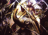 20120625224713-david_voros_image