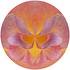 20120626040653-2012rose2