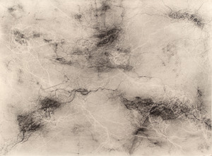 20120626110333-neurdrw8