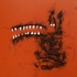 20120626123900-buzzing_1_1000