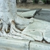 Image001
