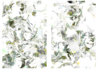 Process 18 (Image A 7, 8),Casey Reas