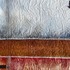 20120627180503-ever_unstill_