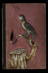 Book Cover no. 110,Jenny Honnert Abell