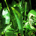 20120628002236-19amandabrown_narrowriver