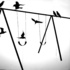 20120628015951-large_crow