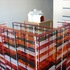 20120628092028-img_7849sm__1_
