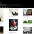 20120629140327-iwishstill