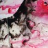 20120629200100-breakingpatterns_oil55