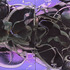 20120629202350-purple_maze