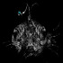 20120630220307-the_things_you_can_see_in_the_deep_sea