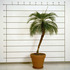 20120701015809-bochner