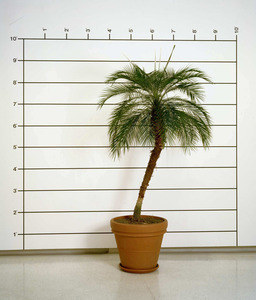 20120701015809-bochner