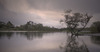 20120701030206-dawn__harbor_lake_veits