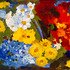 20120701111703-optimist