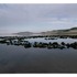 20120702001457-casting_a_glance2_smaller