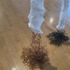 20120702071716-img_2826
