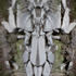 20120702234150-heinzjuly