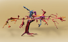 20120703004538-sniderstuart_one_hundred_degrees_in_the_shadetree_of_life