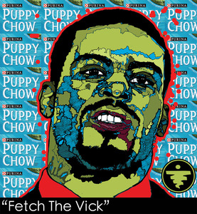 20120703060945-mike-vick