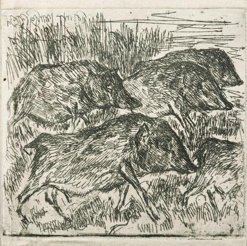 20120703075825-boars