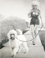 Walking The Dog,Laurie Lipton