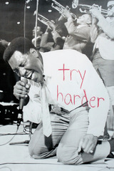 Try Harder,Jason Lazarus