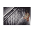 20120703222643-arthur_bruso_hauntedhallway