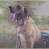 20120704164548-buddy