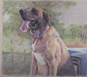 20120704164548-buddy