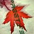 20120705140018-my_maple1