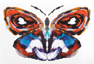 About Face: 99 Butterfly Paintings No.1,Rob Craigie