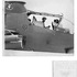 20120707092136-bacher_r3lb059-d-bien_hoa