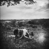 20120707145530-bogren_m01