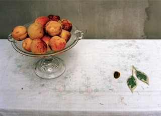 Irma\'s Peaches,Monika Merva